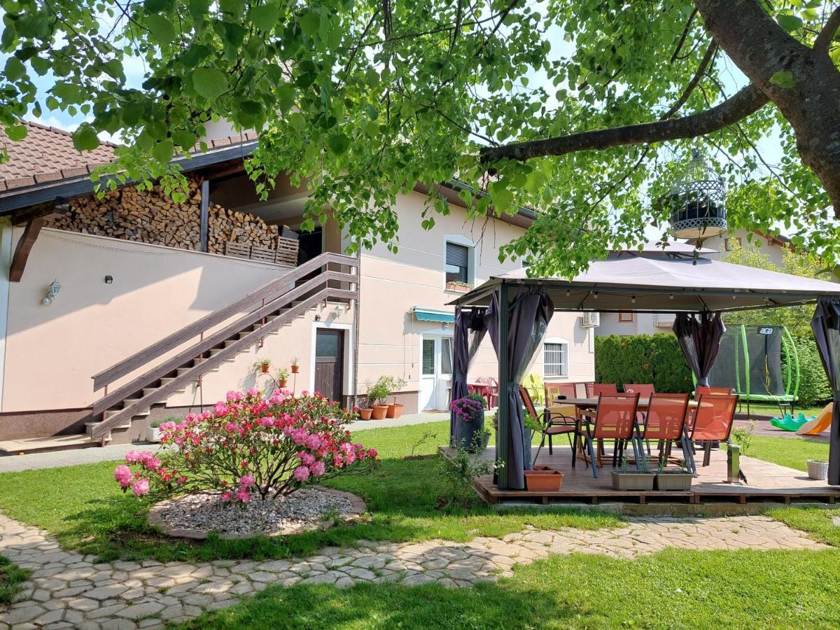 Studio Apartma Zirovnik Церклє-на-Горенськем Екстер'єр фото